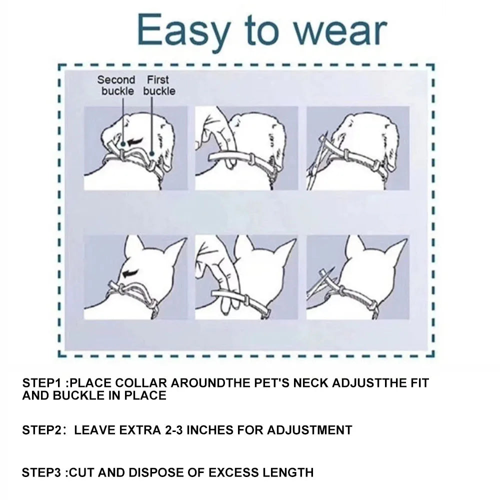 Anti Flea and Tick Collar for Cats & Dogs Infused with Natural oils no harmful chemicals