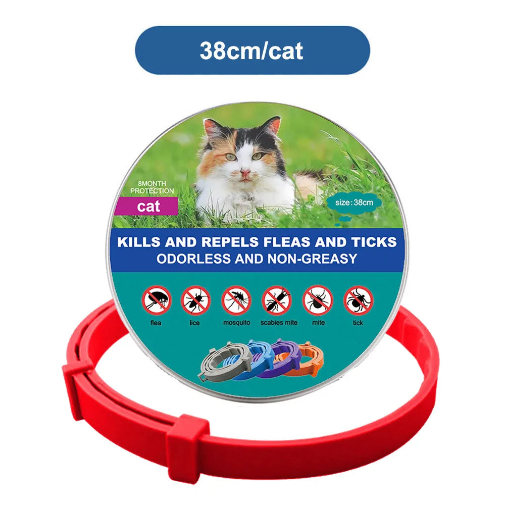 Anti Flea and Tick Collar for Cats & Dogs Infused with Natural oils no harmful chemicals